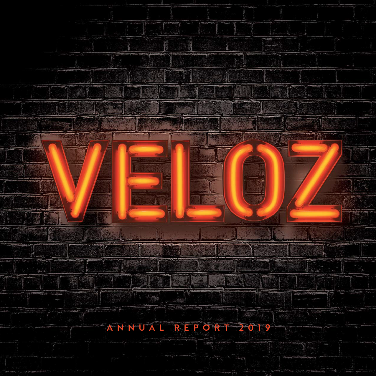 2019 Veloz Annual Report